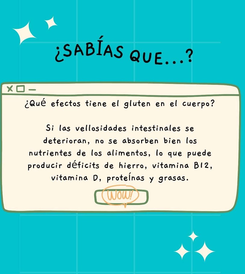 ¿Qué efectos tiene esto en el cuerpo? Si las vellosidades intestinales se deterioran, no se absorben bien los nutrientes de los alimentos, lo que puede producir déficits de hierro, vitamina B12, vitamina D, proteínas y grasas.