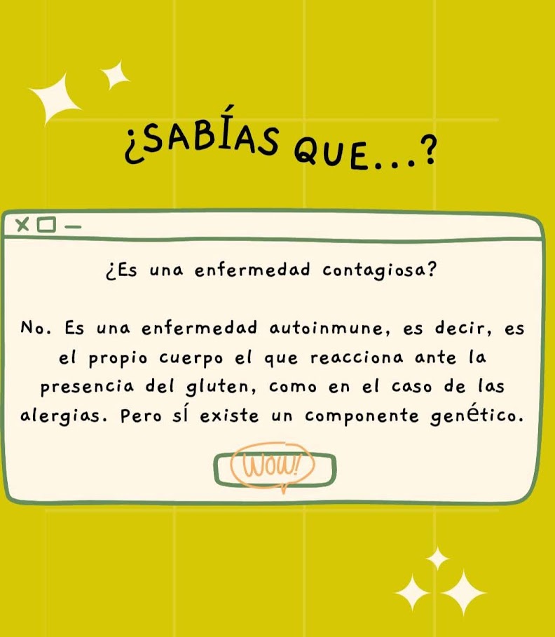 ¿Es una enfermedad contagiosa? No. Es una enfermedad autoinmune, es decir, es el propio cuerpo el que reacciona ante la presencia del gluten, como en el caso de las alergias. Pero sí existe un componente genético.